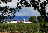 Argentine-vigne-Fotolia.com-sunsinger.jpg