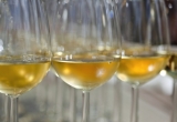 verres-sauternes.jpg verres de sauternes