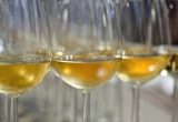 verres de sauternes