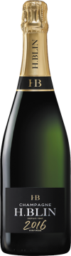H. Blin  2016