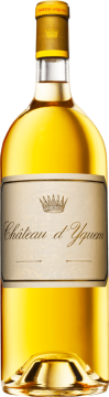 Château d'Yquem Château d'Yquem  2022