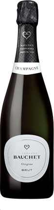 Bauchet Mémoire 2013