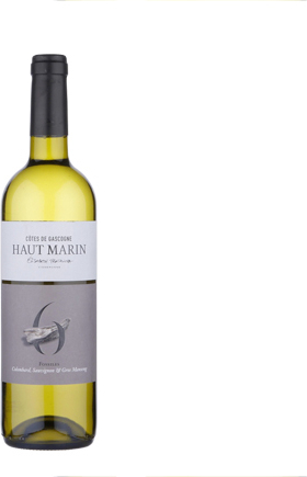 Haut Marin Fossiles 2024