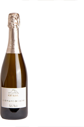 Domaine du Bois Mozé Port Blanc 